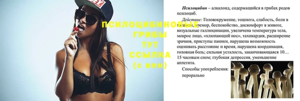 mdpv Балахна
