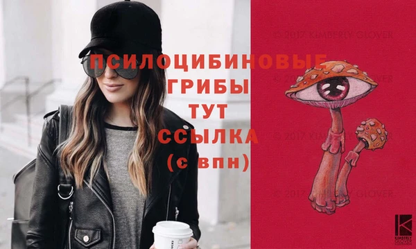 mdpv Балахна